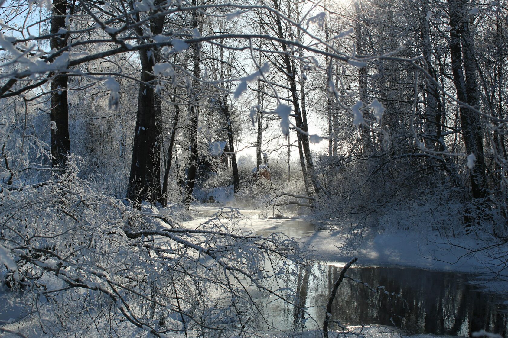 Зимние прогулки у воды