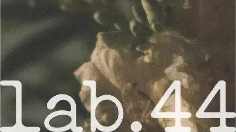 lab.44 — коммуникационный дизайн, изображение 12