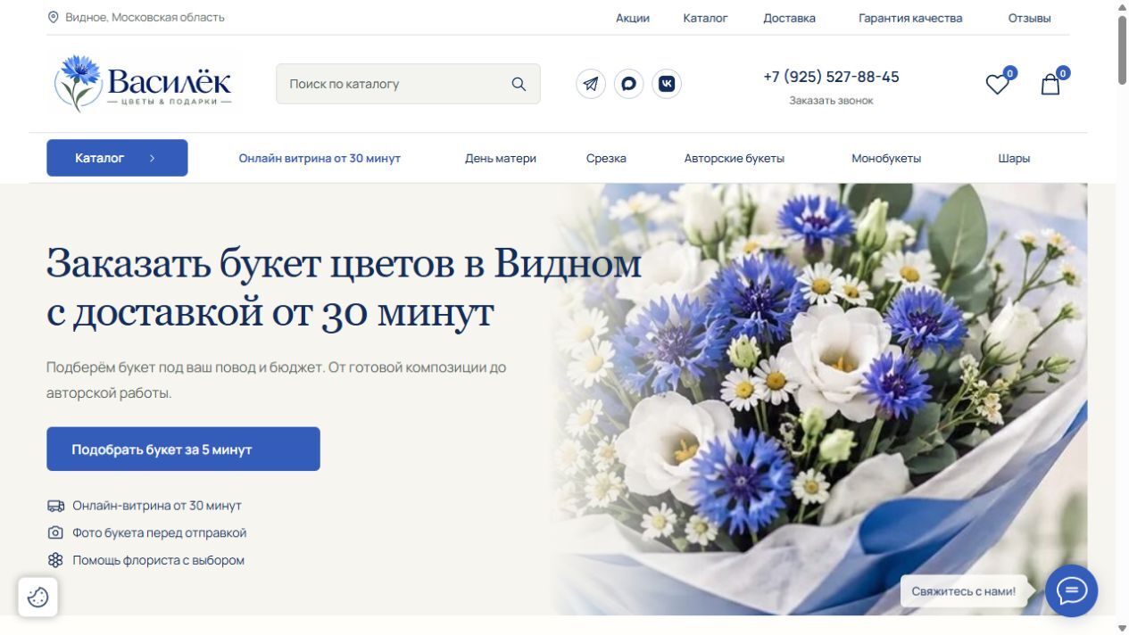Скриншот сайта Василёк