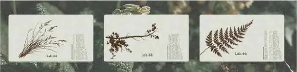 lab.44 — графический дизайн, изображение 6