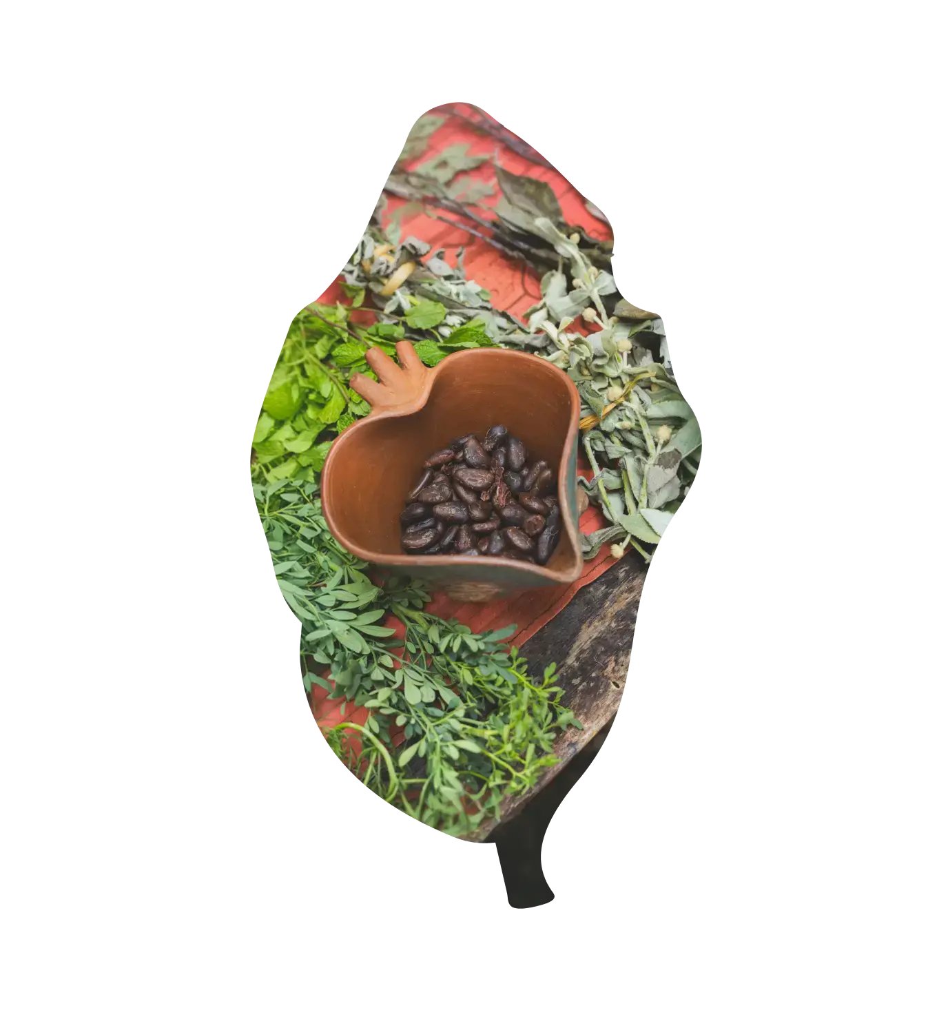 Temazcal Ceremonies