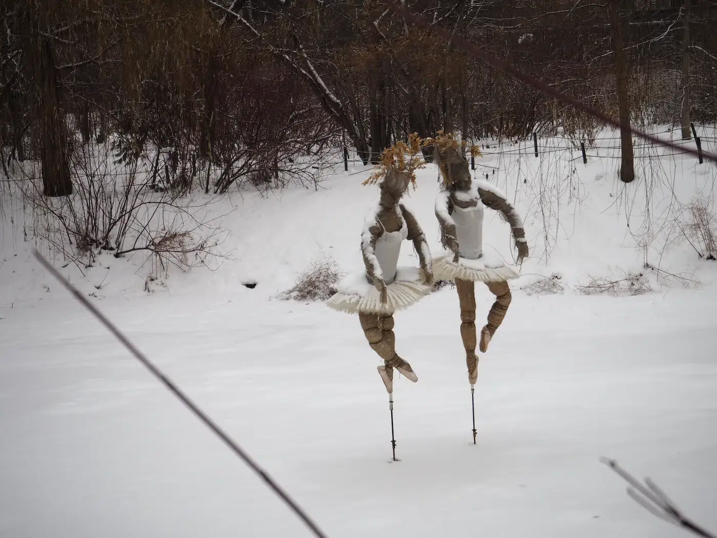 Winter: the first thin ice and snow