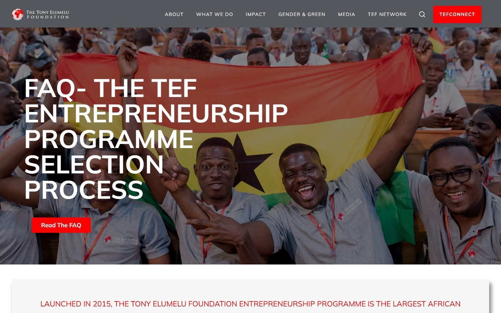 Tony Elumelu Foundation page on the TEF Entrepreneurship Programme selection process, screenshot (October 2026)