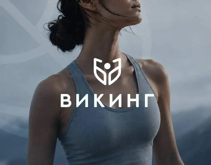 Викинг — проект