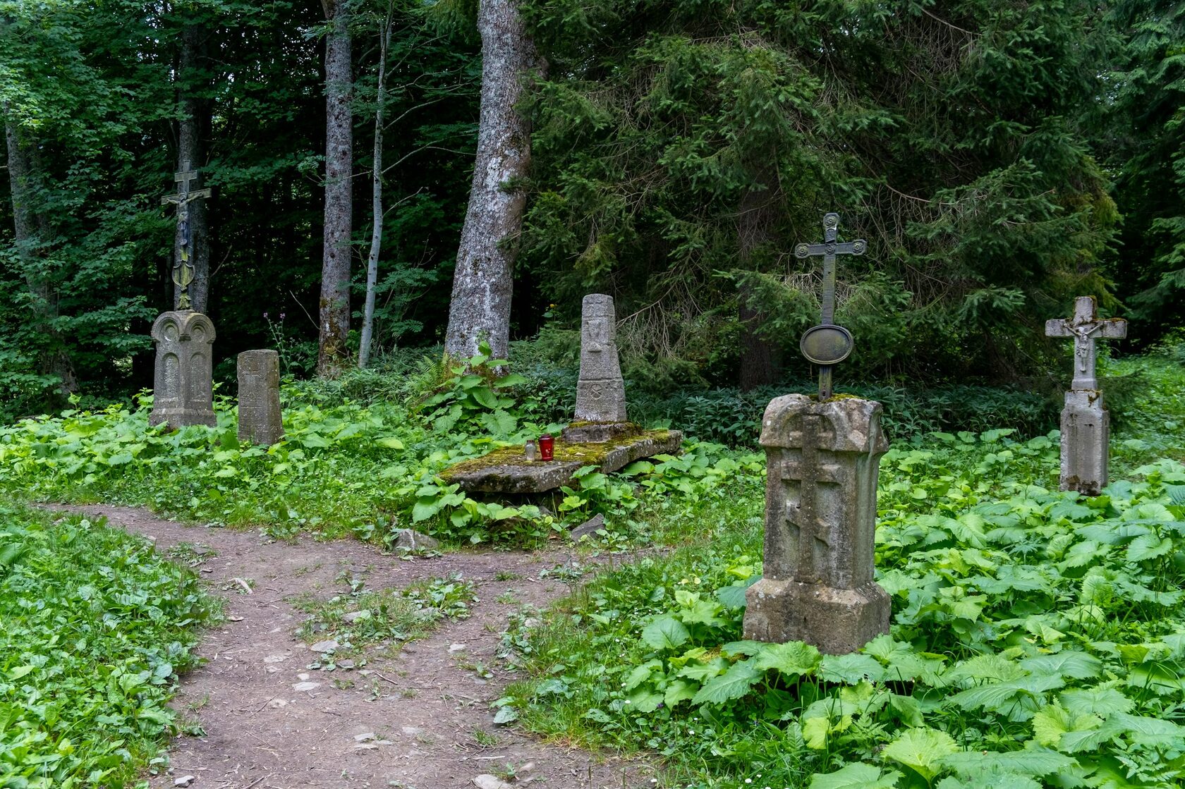Старые камни в лесу