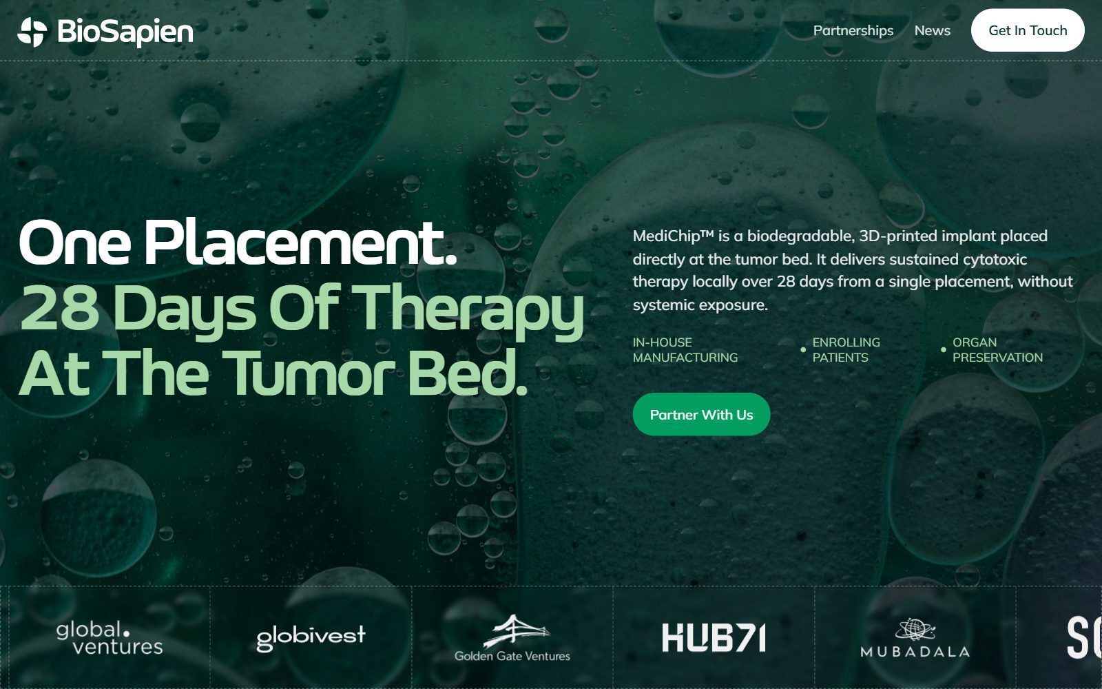 BioSapien MediChip homepage screenshot (October 2026)
