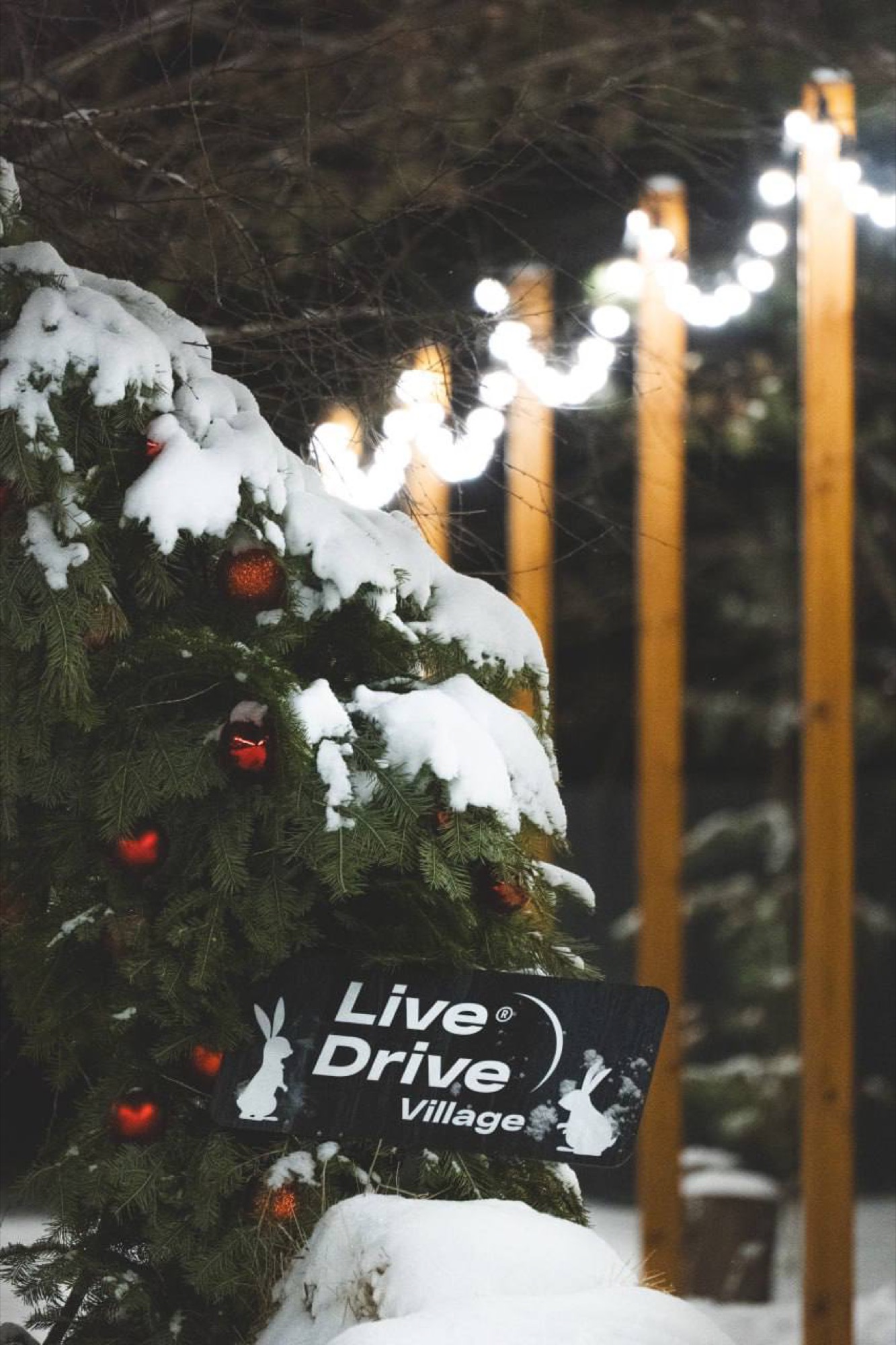 Зимний лес Live Drive Village