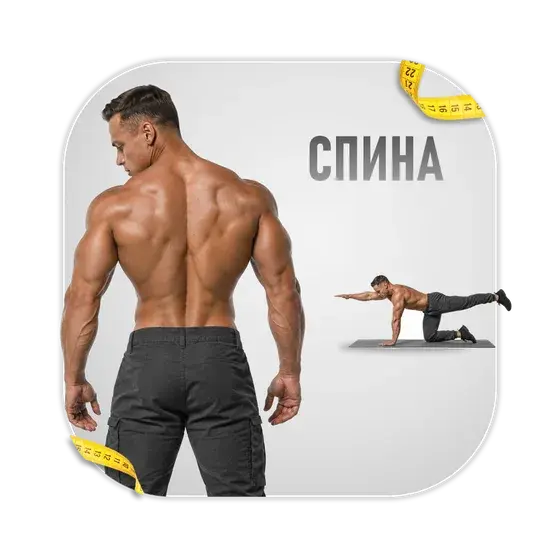 Здоровая спина