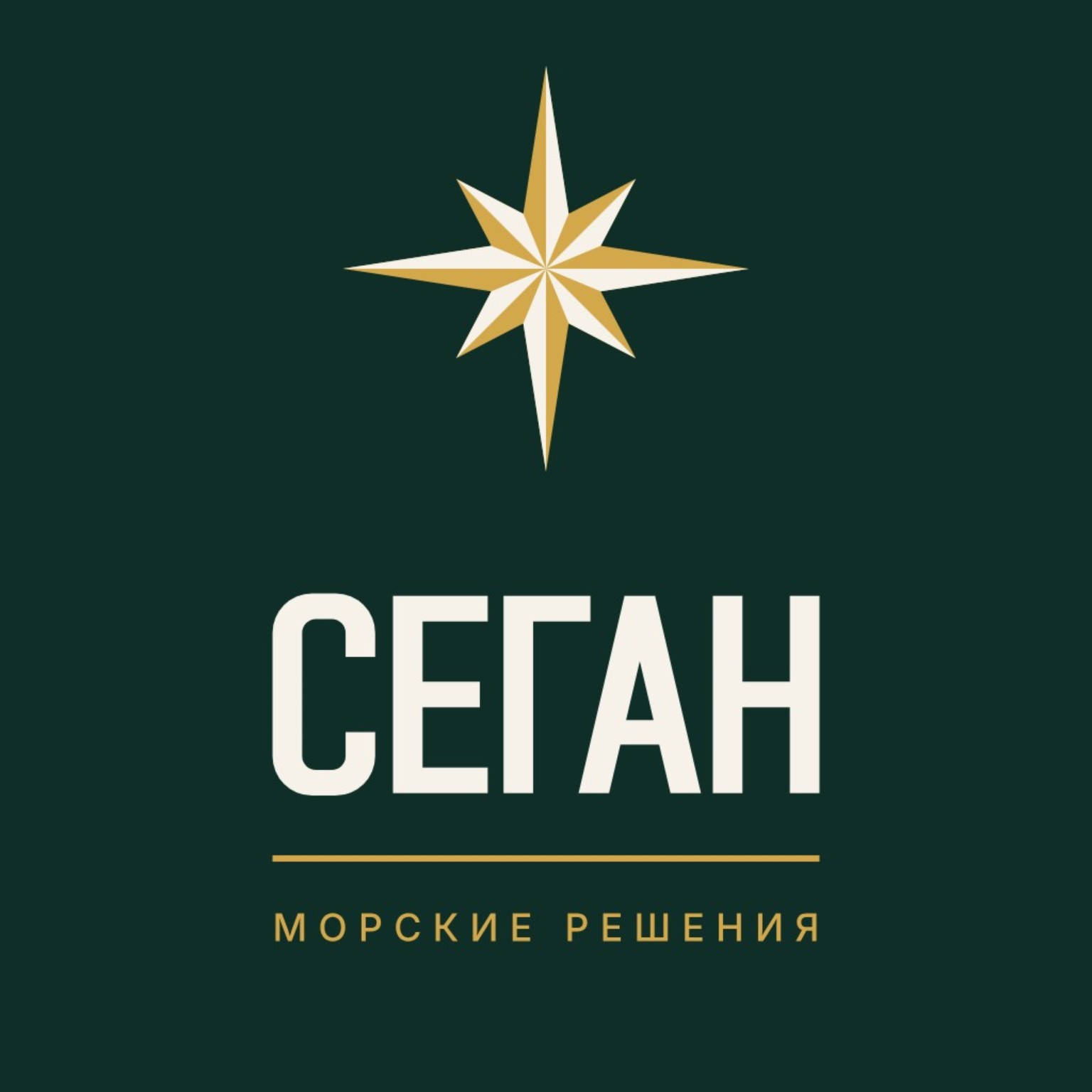СЕГАН — морские решения. Золотая роза ветров.