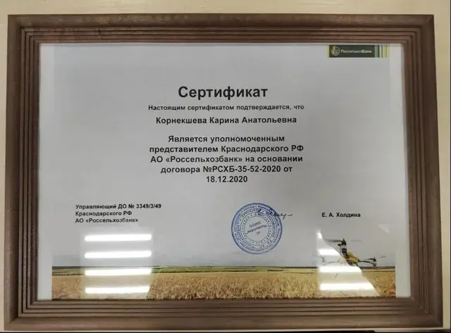 Диплом / сертификат 1