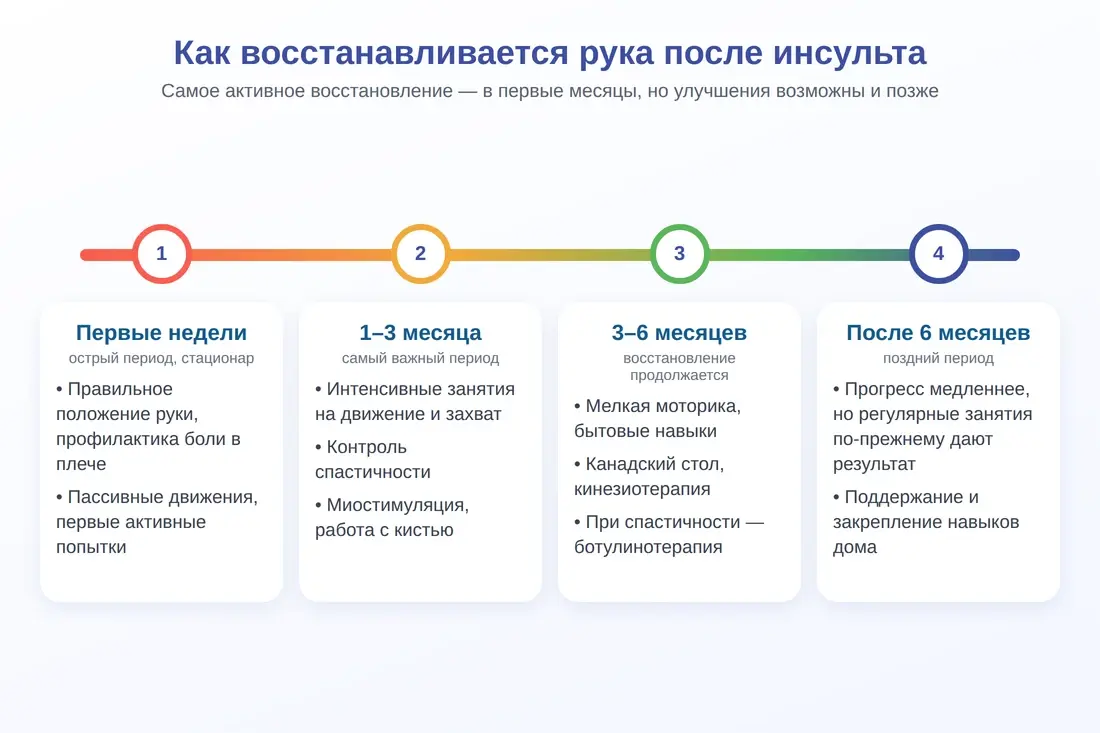 Этапы восстановления руки после инсульта: первые недели, 1–3 месяца, 3–6 месяцев, после 6 месяцев