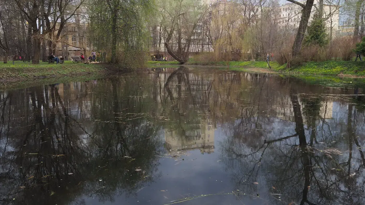 April 2018. The site: the old pond of the Apothecaries' Garden. "Swans Have Arrived!" Kinetic sculpture by Konstantin Grouss