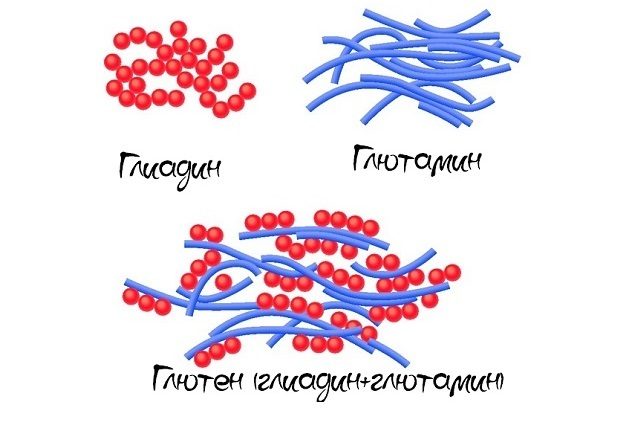 Схема клейковины в песочном тесте