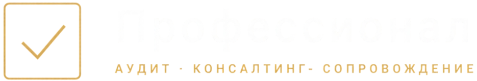 Профессионал — Аудит · Консалтинг · Сопровождение
