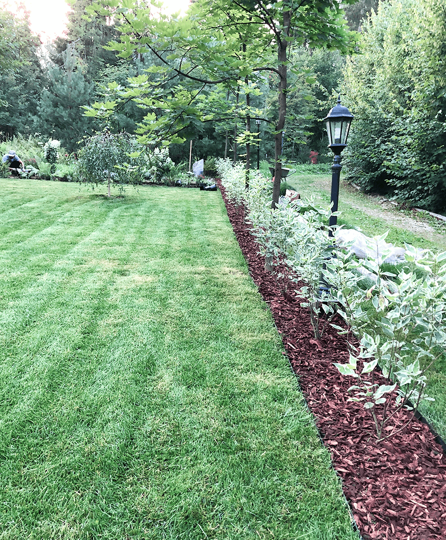 Light & Form