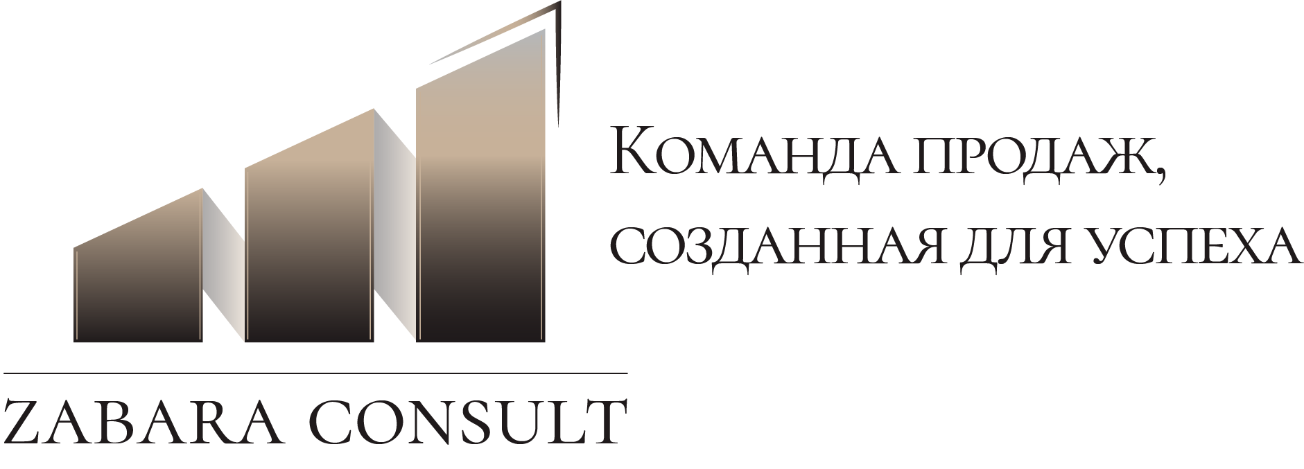ZABARA CONSULT