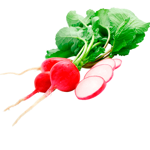 Нормы внесения Гумифулин и Органол для корнеплодов