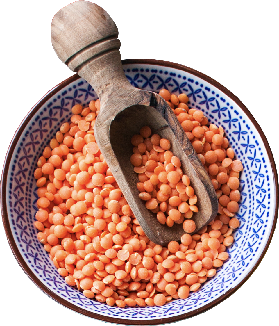 Программы питания