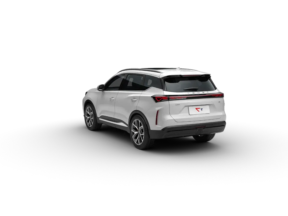 прошивка мотора и коробки TENET T7