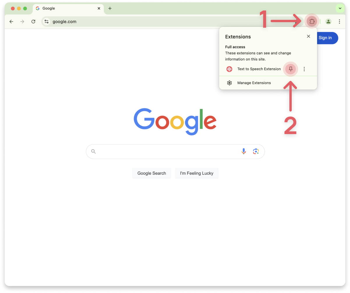 Text to speech extension