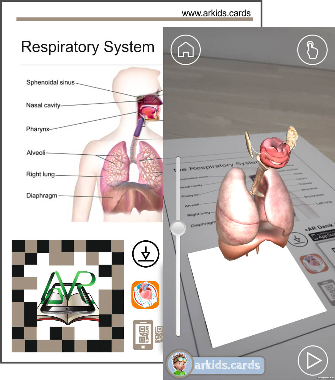 Image result for body system Augmented reality