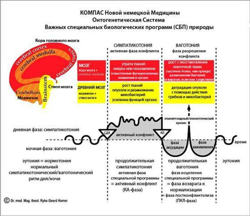 Германская новая медицина карта