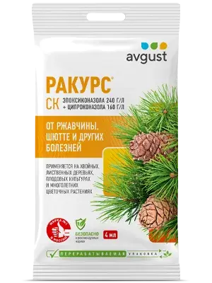 Ракурс