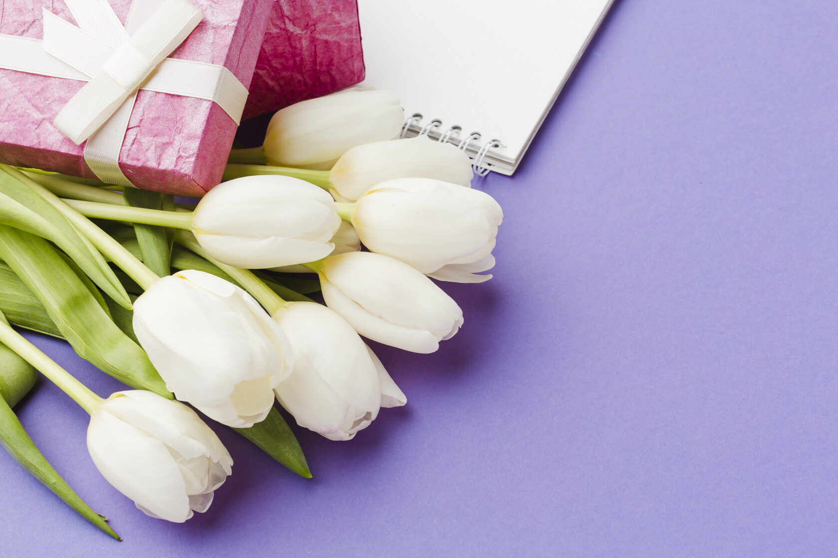 с Международным женским днём.