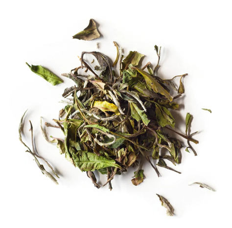 Байкальский чай и травы из Бурятии: уникальный вкус и польза