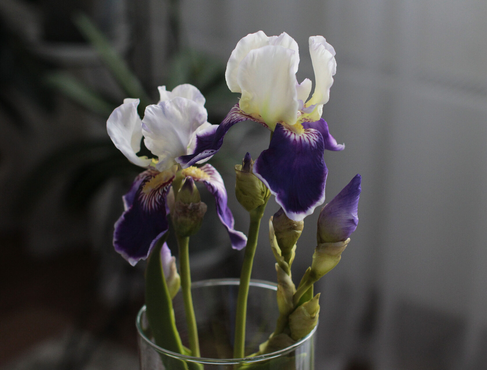 flowersclay.ru