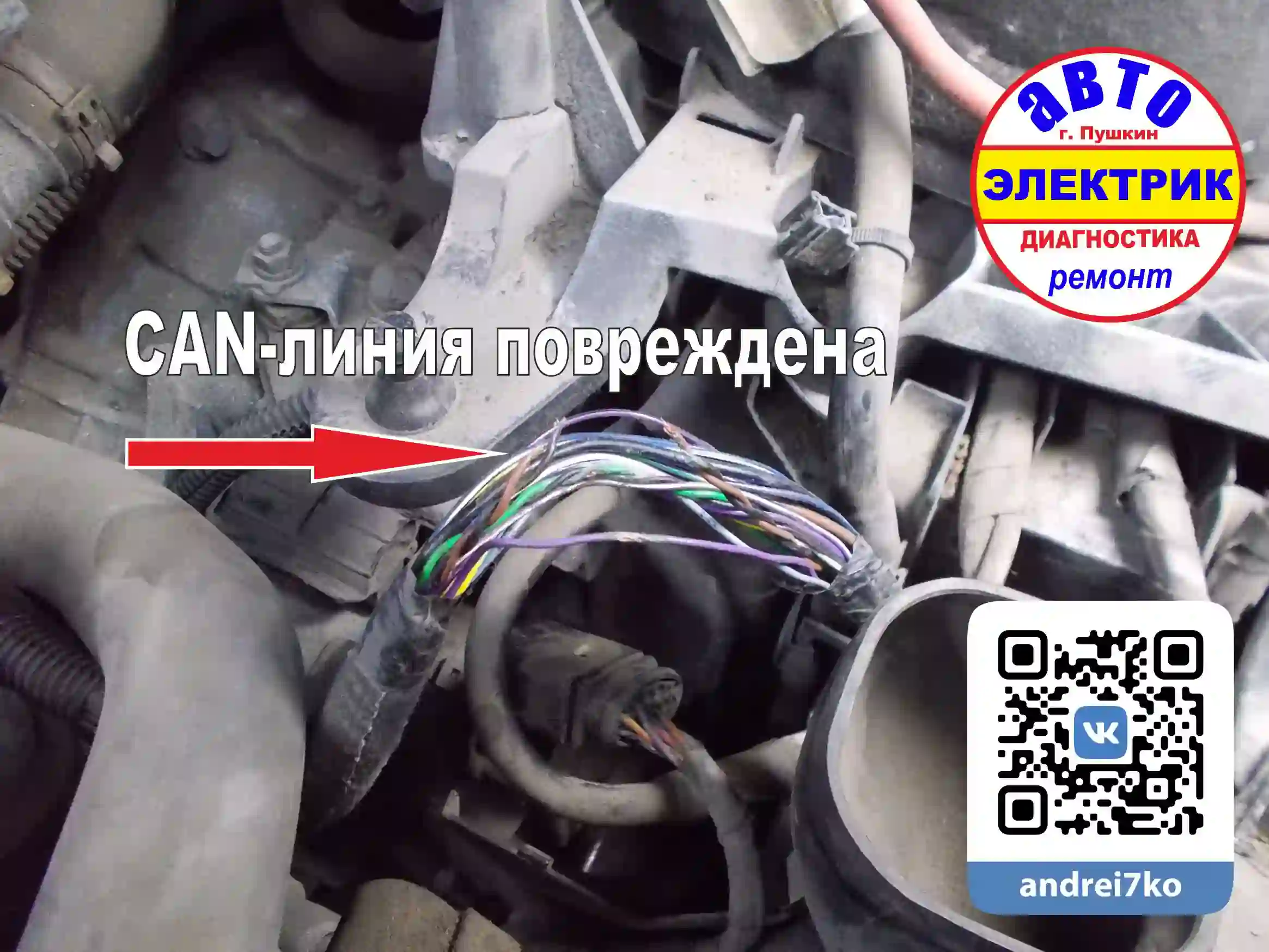 SKODA OCTAVIA - АКПП - CAN ECM TCM