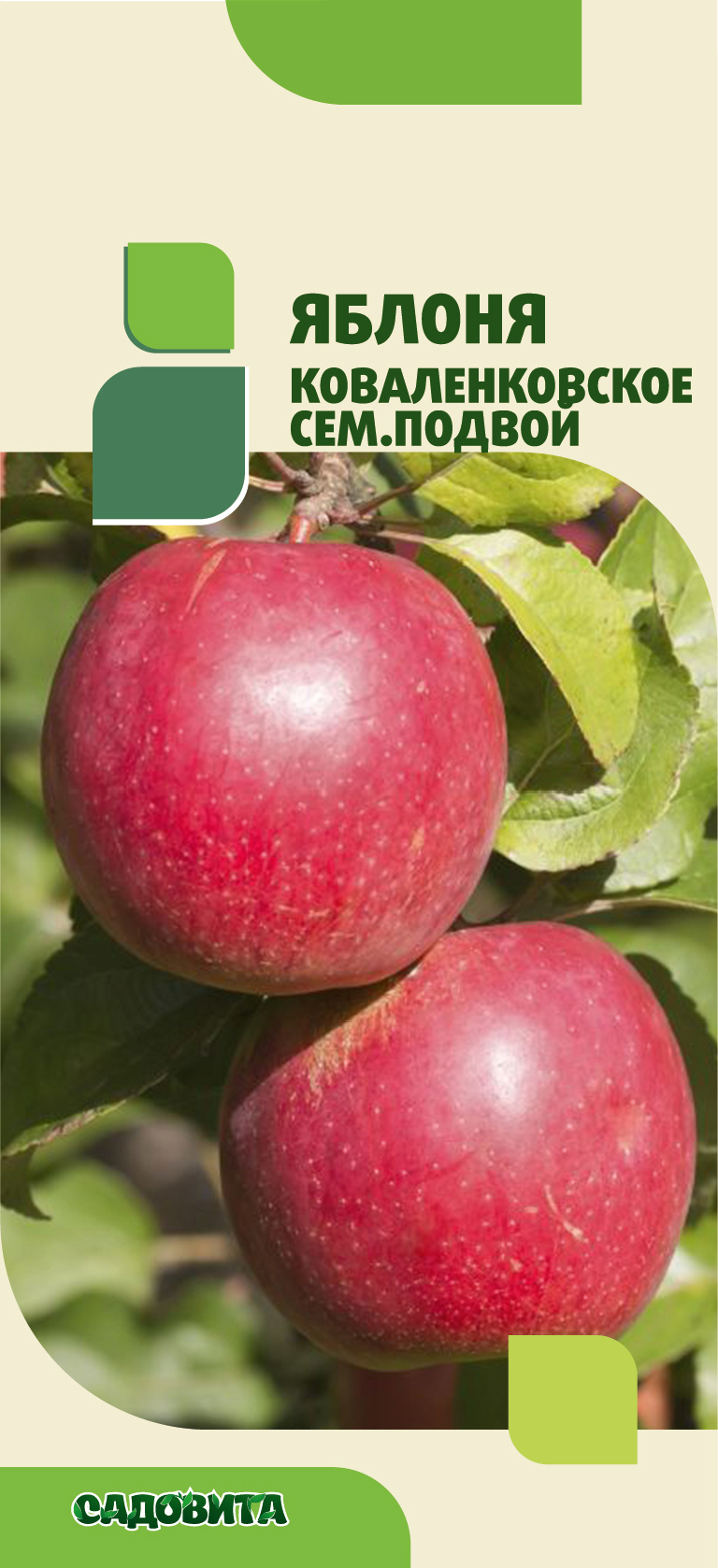 Яблоко коваленковское фото и описание сорта