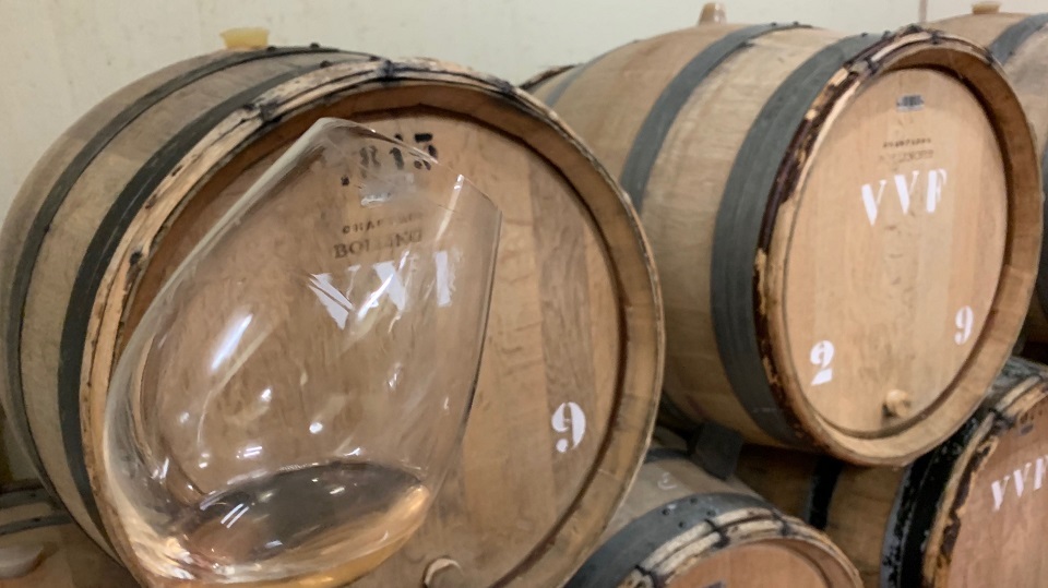 Tasting the 2018 Vieilles Vignes Françaises from barrel at Bollinger.