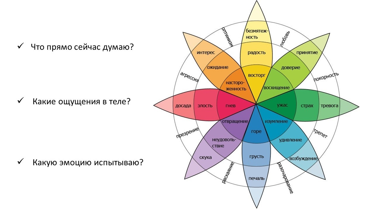 Круг эмоций. Эмоций Келлермана Плутчика. Колесо эмоций Роберта Плутчика. Звезда Келлермана Плутчика. Опросник Келлермана – Плутчика.