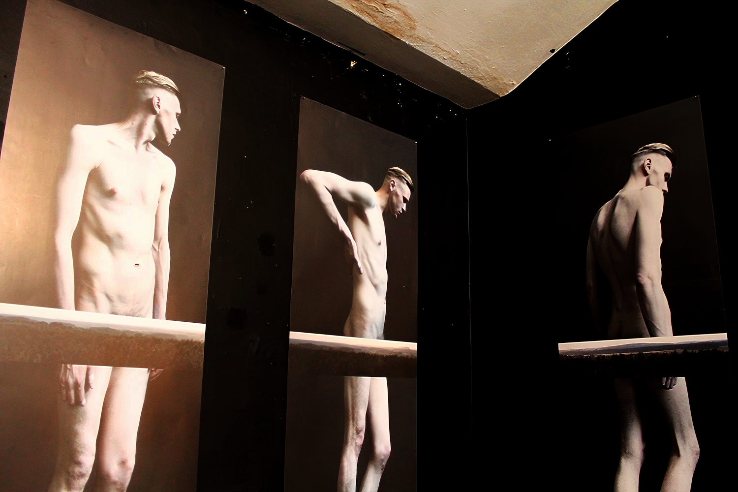 Фрагмент серыі Дзіны Даніловіч «Блізкасць» / выстава «Anatomia. Ідэальнае цела», Менск 2015