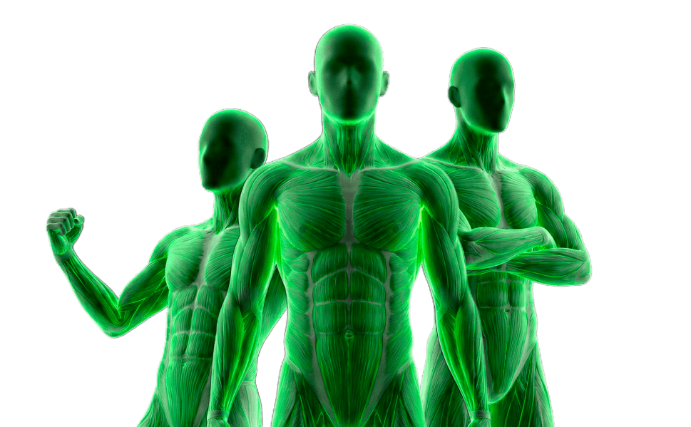 найти работу тренером в Санкт-Петербург, работа тренером онлайн, работа персональным тренером СПб