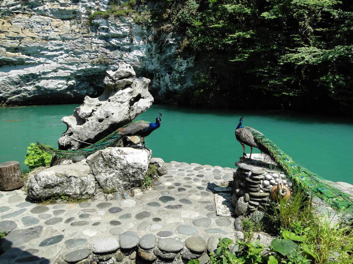 Голубое озеро Абхазия Павлины