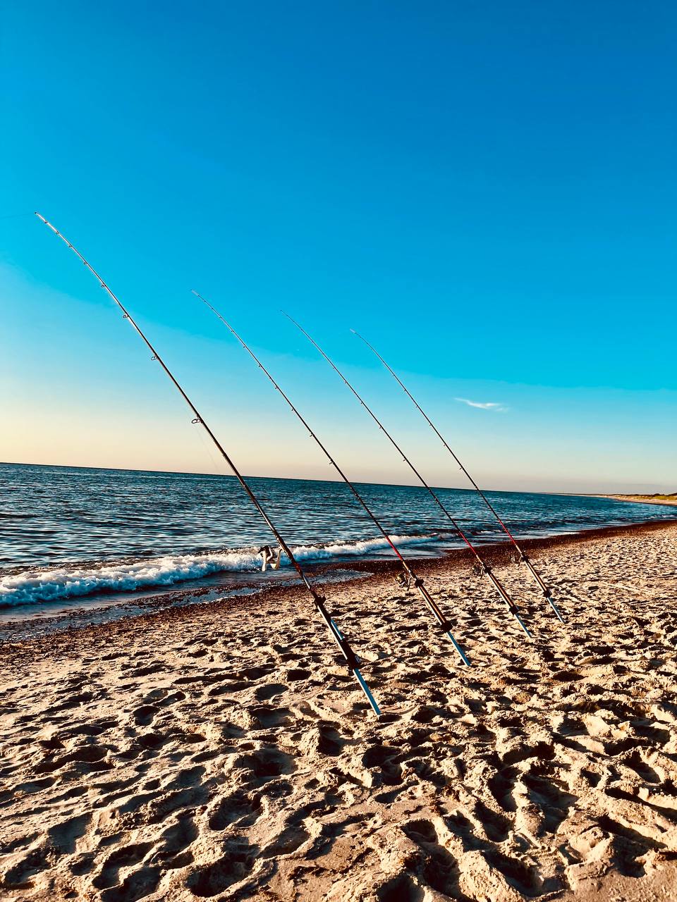Удилища на песчаном берегу Балтийского моря