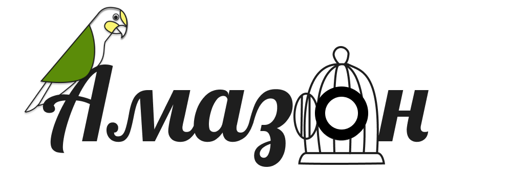Амазон