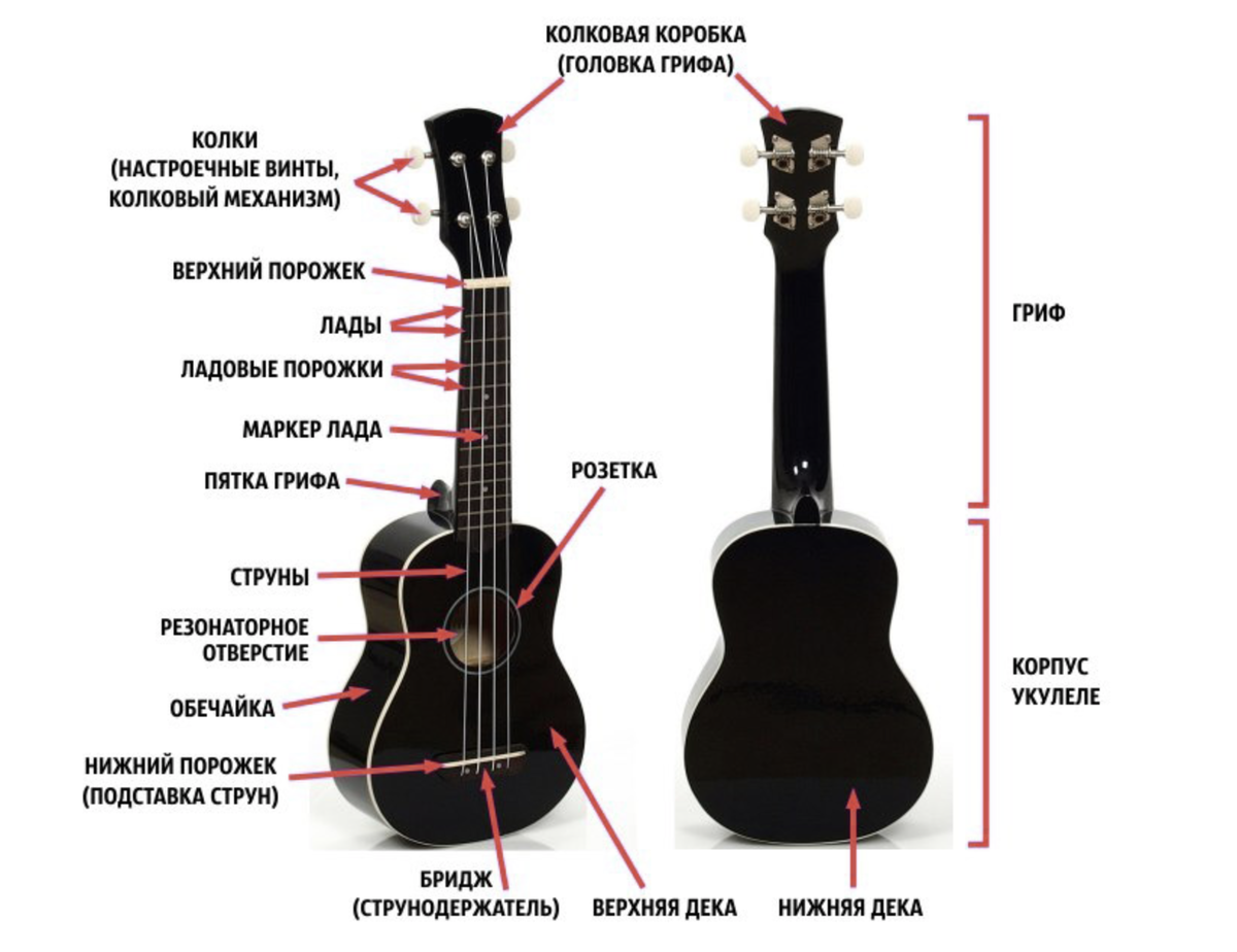 Настроена ли гитара. Строение укулеле сопрано. Как называются части укулеле. Как устроена укулеле. Название всех частей укулеле.