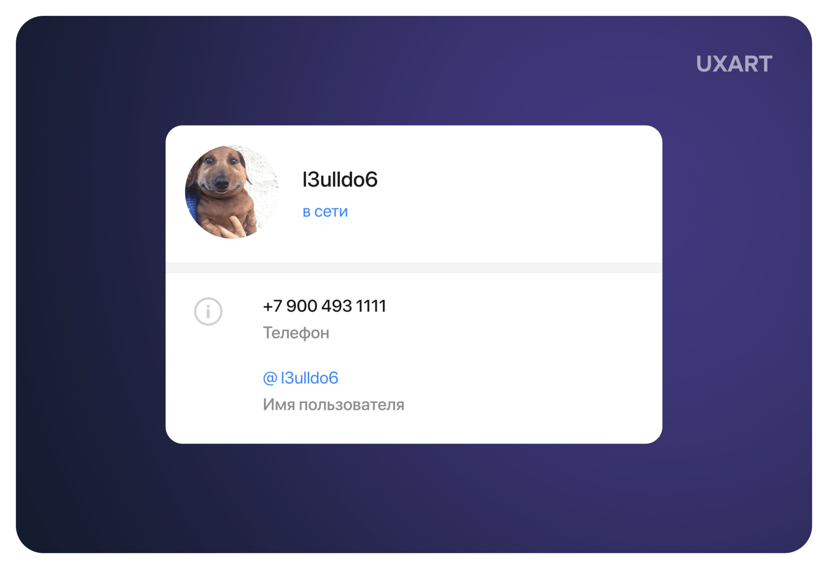 Привет! Можно вопрос? Аудио и кружочки, которые бесят. Или как мы решили качать телеграмный этикет