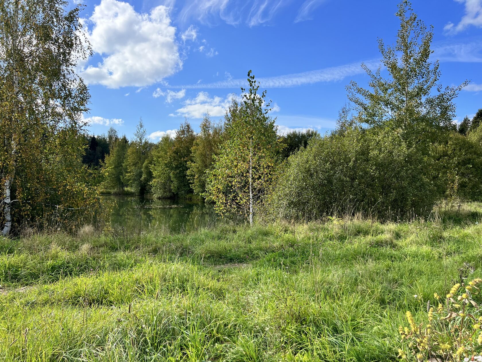 террасирование участка 10 соток. парк удино лобня. 8 соток планировка огорода. обустройство дачного участка. проектирование дачного участка.