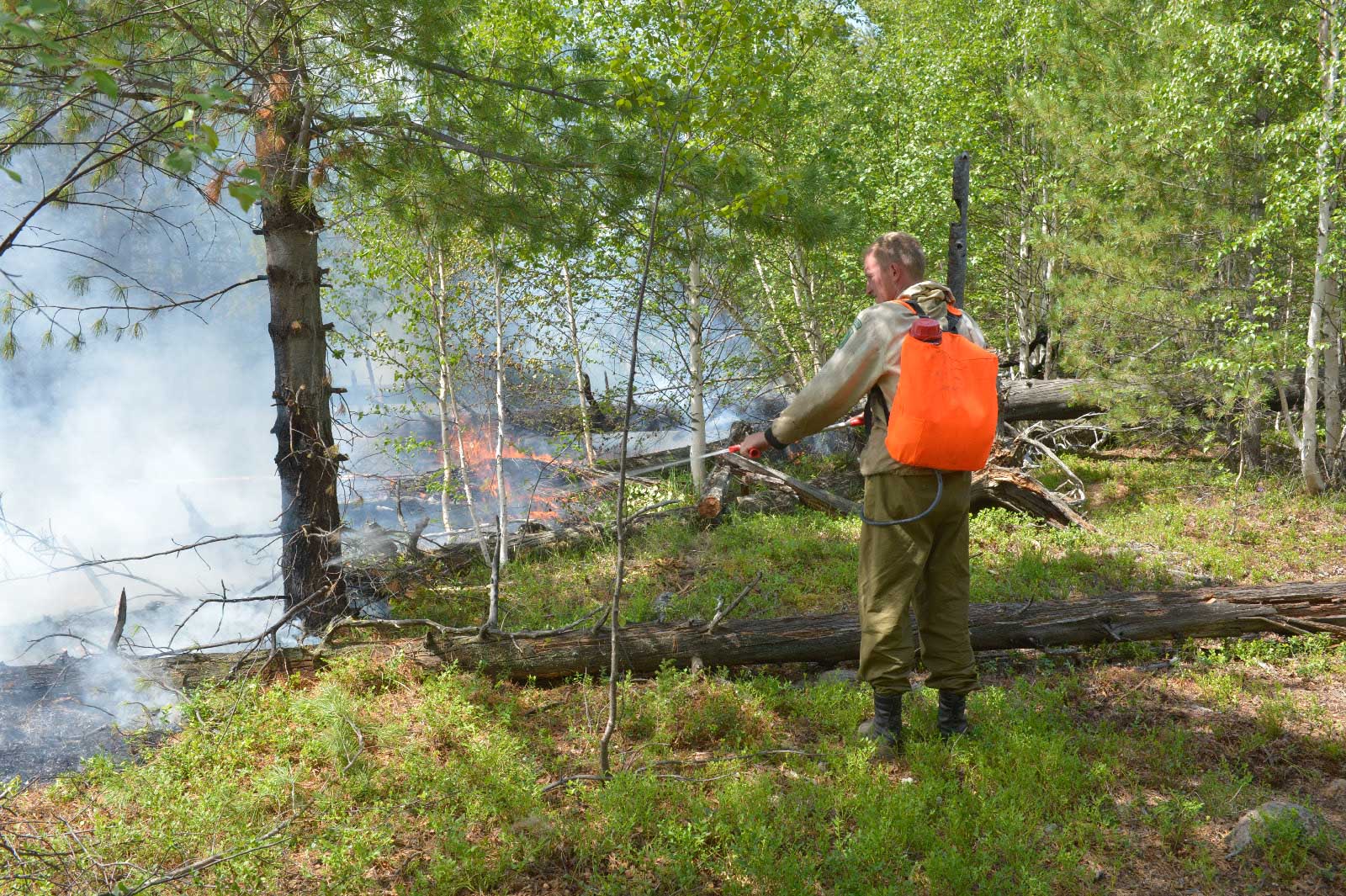 Охрана заповедника. Защита Байкальского заповедника. Заповедники Кабанского района. День Байкальского заповедника.