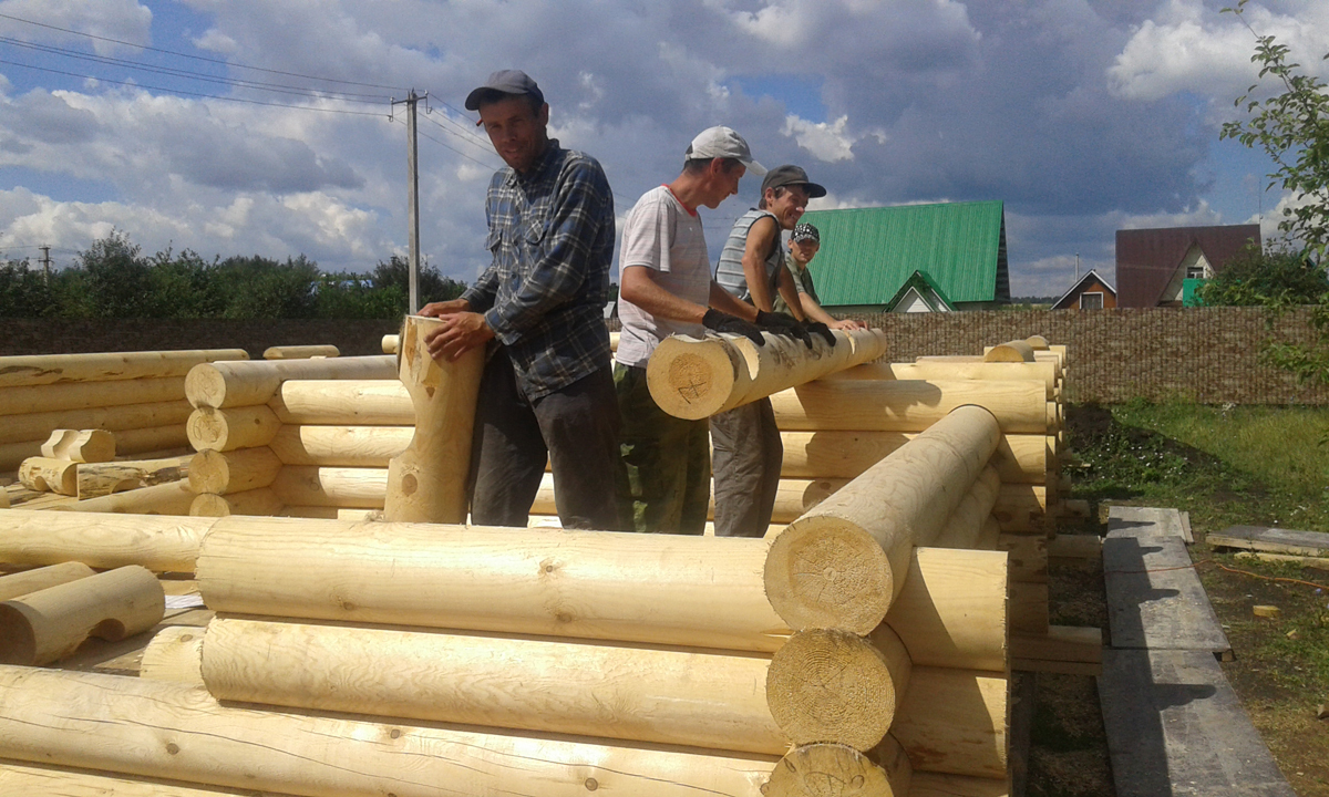 Дом канадская рубка. Деревянные дома канадской рубки. Сибирский кедр бревно. Бревно. Плотник баня.