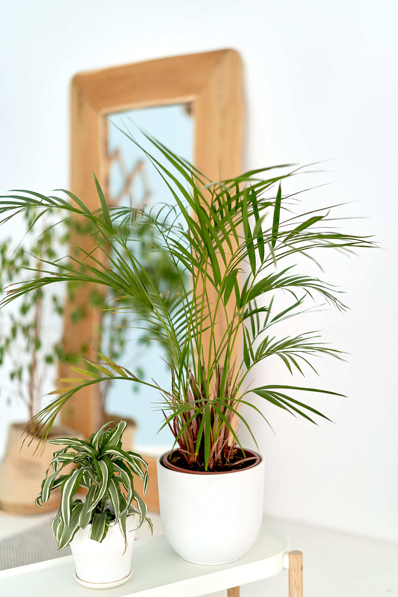 зал АТМА | PARAMATMA Studio