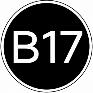 website icon