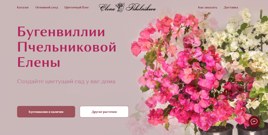 Купить бугенвилли онлайн