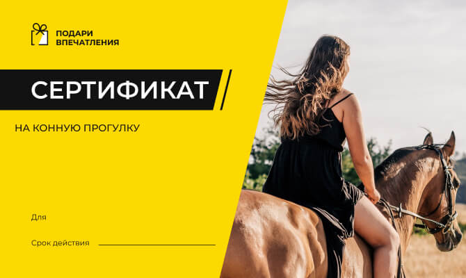 Подарочный сертификат на мотокросс и урок езды на мотоцикле в Подмосковье