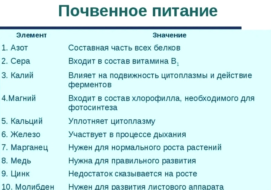 Почвенное питание