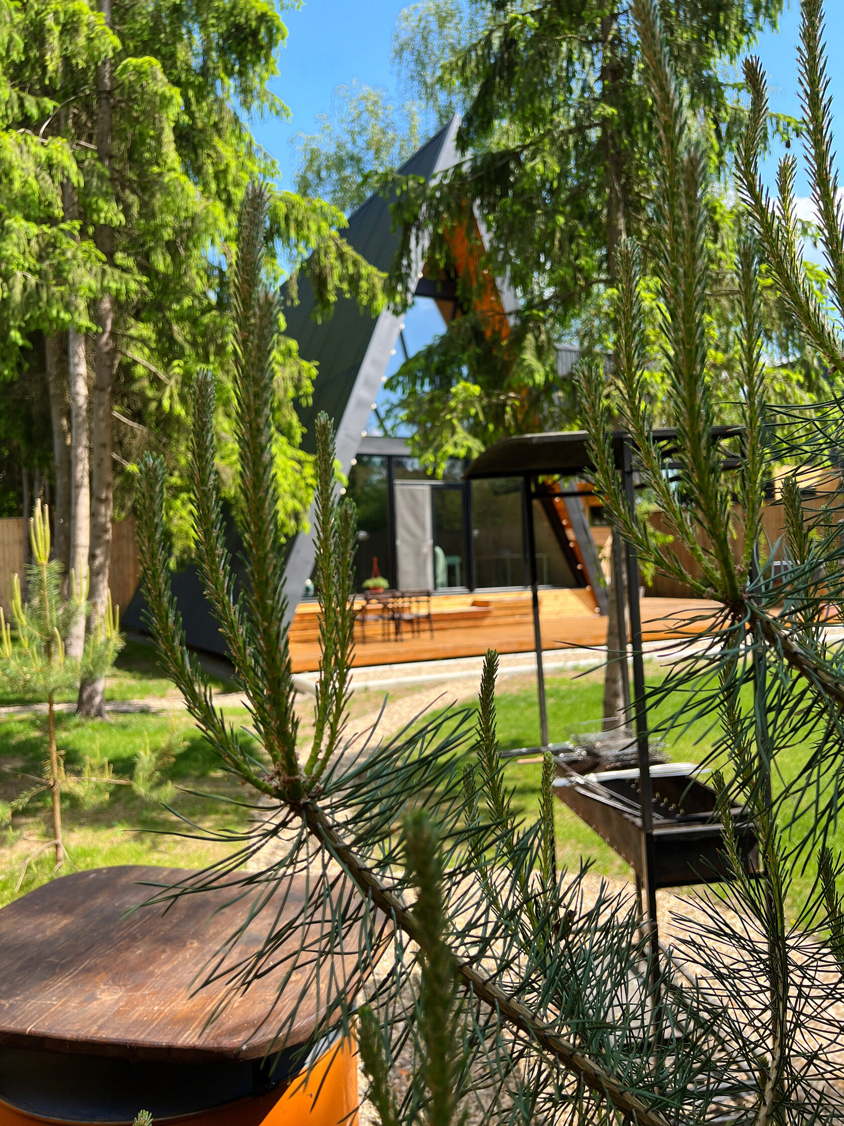 AURA Family — фото 3